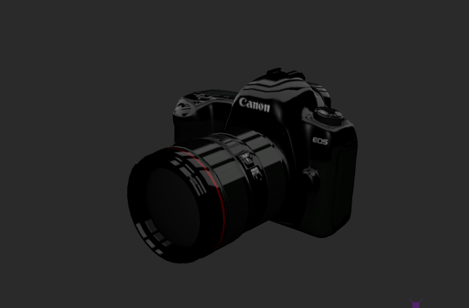 Canon DSLR