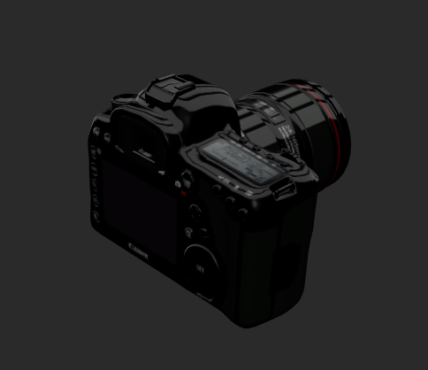 Canon DSLR