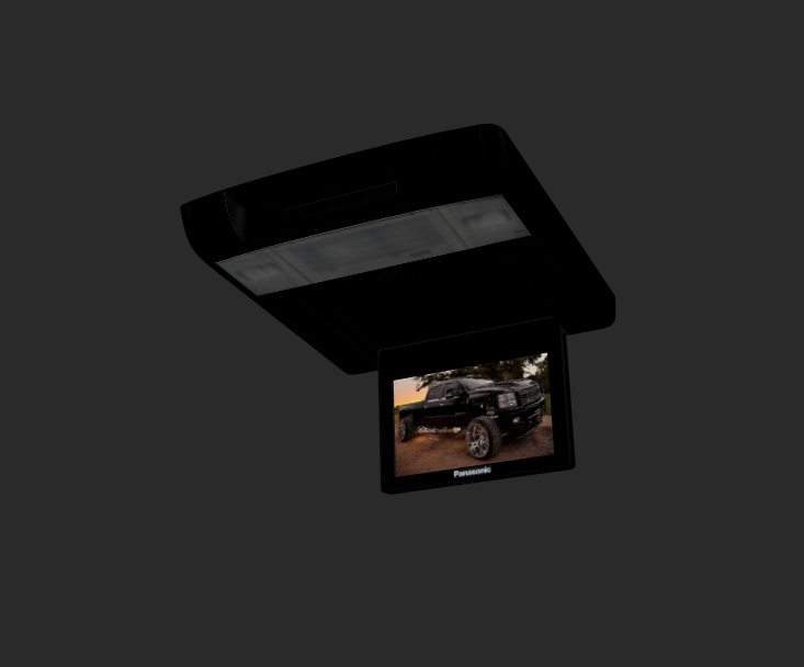 Overhead Console/DVD Player